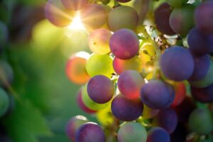 Descubre el truco para pelar uvas sin esfuerzo