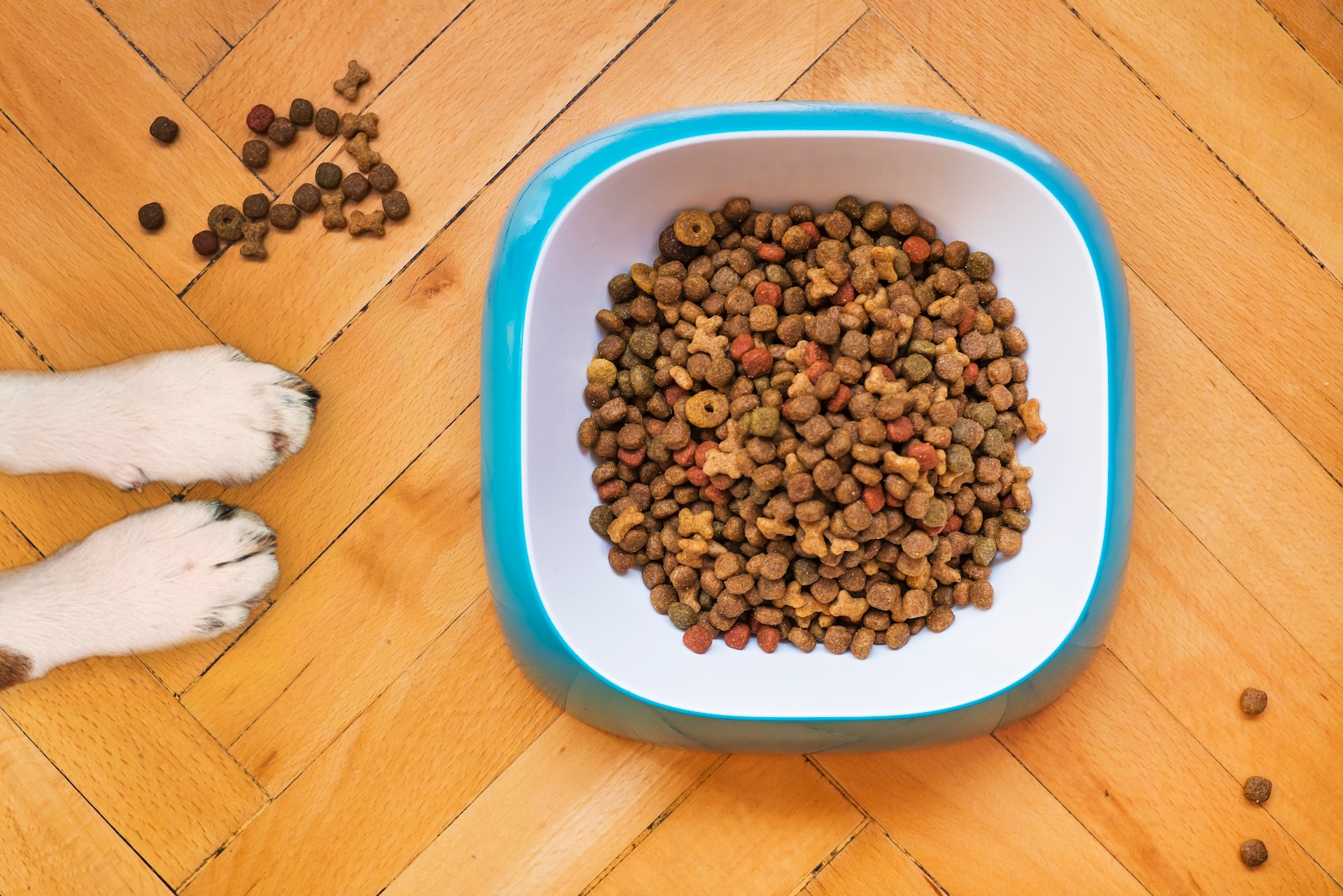 como medir 100 gramos de alimento para perro