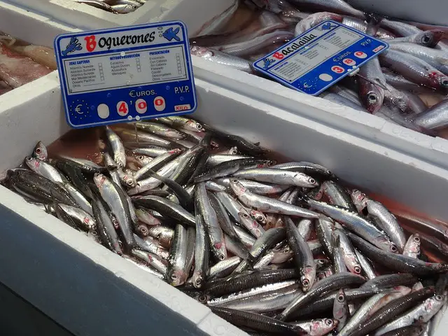 se puede congelar las sardinas