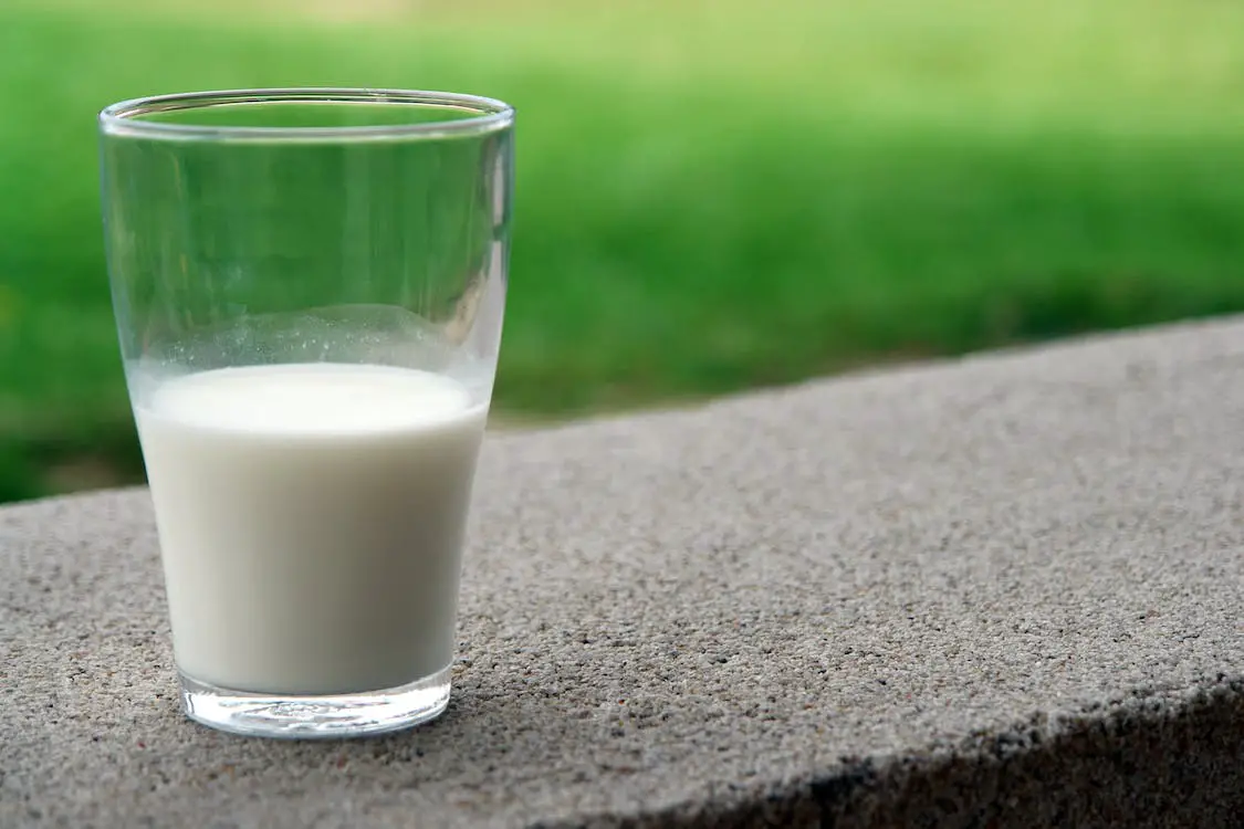 leche pasteurizada marcas